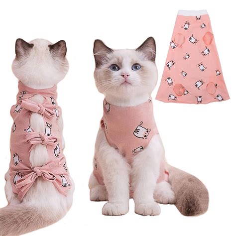 diy cat cone 5