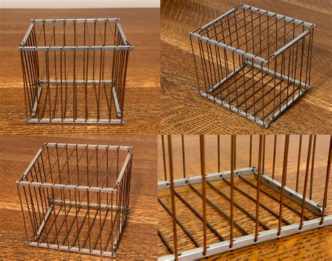 The Vanishing Bird Cage