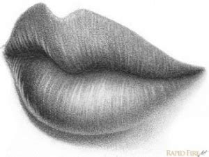 Closed Lips Drawing at PaintingValley.com | Explore collection of Closed Lips Drawing