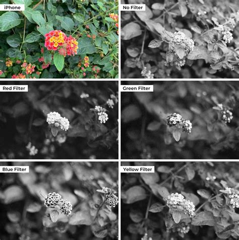 Using Color Filters with Black and White Film » Shoot It With Film