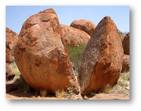 JENIS-JENIS PELAPUKAN