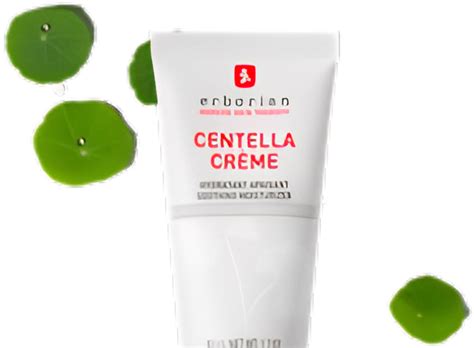 Centella Crème: THE ESSENTIAL MOISTURIZER - Lady Lead Magazine