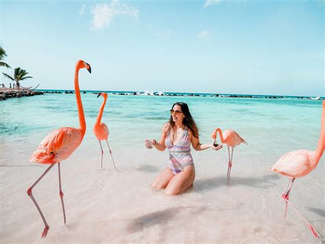 How to see the flamingos in Aruba: Renaissance Private Island