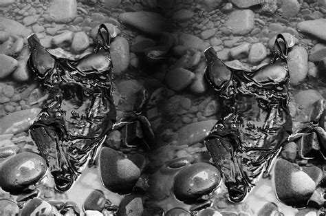 Horror fusionis - Erin Taylor Kennedy