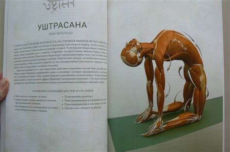 Книга: Анатомия прогибаний и скручиваний - Рэй Лонг. Купить книгу ...