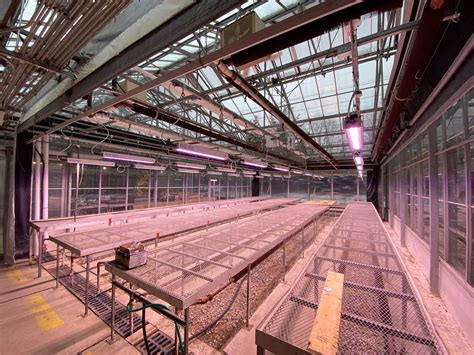 Algonquin College | P.L. Light Systems