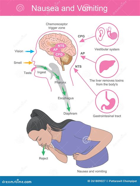Effect of brain processes stock illustration. Illustration of medical
