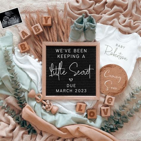 We've Been Keeping a Little Secret Digital Pregnancy - Etsy