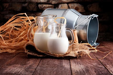 Everything you wanted to know about Russian dairy products - Russia Beyond