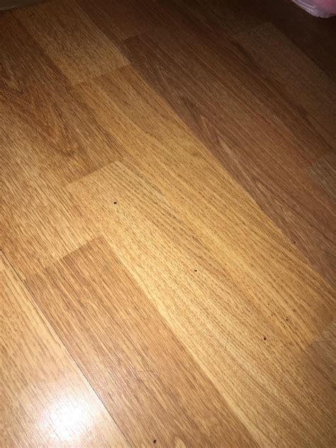 Mouse droppings? Or paranoia : r/pestcontrol