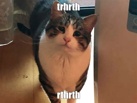 Мем: "trhrth rthrth" - Все шаблоны - Meme-arsenal.com