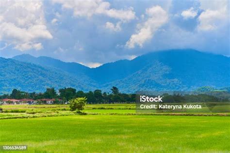 lanskap alam asia  menakjubkan sawah hijau besar  pegunungan
