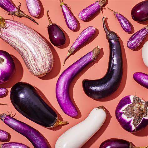 How to Grow Eggplant - Garden Dust