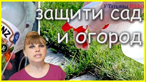 ЗАЩИТИ свой САД и ОГОРОД от вредителей и болезней тем, что под рукой ...