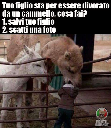 Clicca sull'immagine per visitare il sito. #Animali, #Bambini | New ...