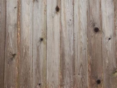 Wooden texture hd picture Photos in .jpg format free and easy download ...
