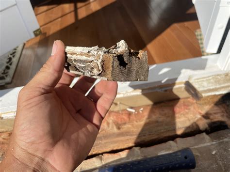 E&S Home Improvement and Repair | Athens, Georgia | Carpentry