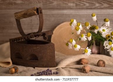 iron stock photo  shutterstock
