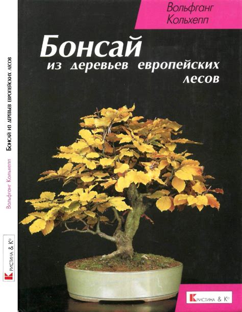 Bonsai
