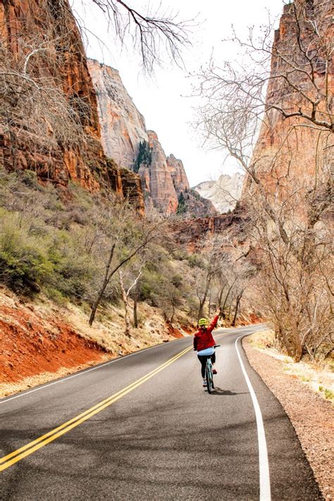 biking  zion      zion national park