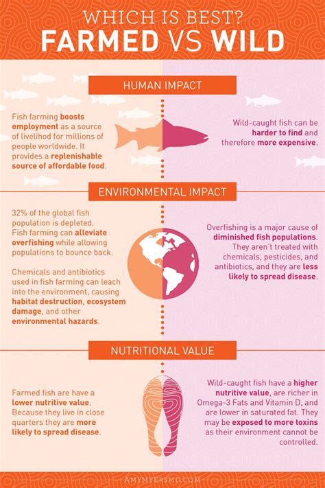 Aquaculture vs wild caught fish which is best – Artofit