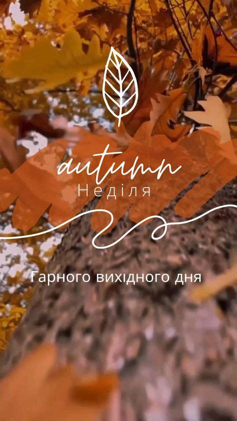 Pin på доброе утро, спокойной ночи