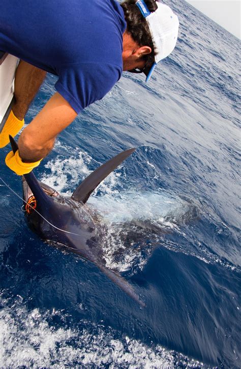 Catch and release : r/Fishing