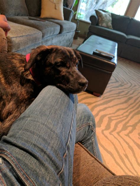 358 best Calgary Ab images on Pholder | Pics, Spotted and Calgary