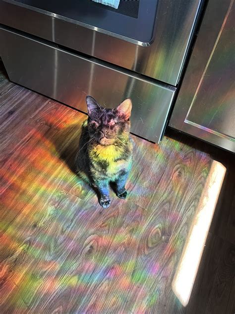 Laura Lux on Twitter: "RT @DarthLux: you have been visited by the