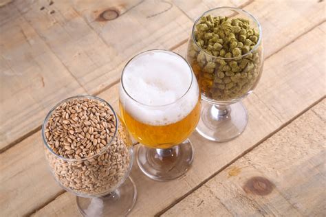 kind  beer  ipa saveonbrewcom