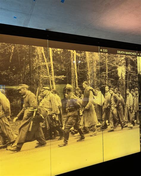 Christine Devine - News Anchor