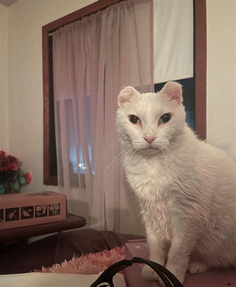 We're nearing her end. : u/Delicious_Delilah