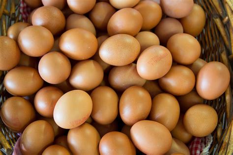 harga telur ayam  mahal  upaya pemerintah