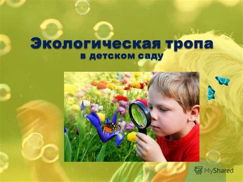 Презентация на тему: "Экологическая тропа в детском саду. Цель создания ...