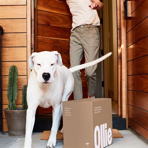 Ollie: Fresh & Healthy, Human-Grade Dog Food Delivery