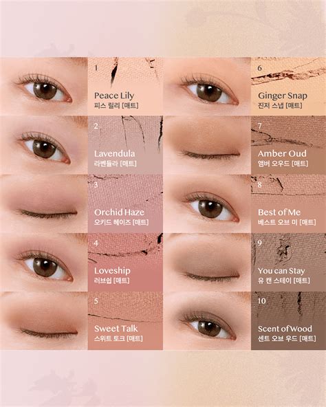 CLIO Pro Eye Palette #Botanic Mauve – Sukoshi Mart
