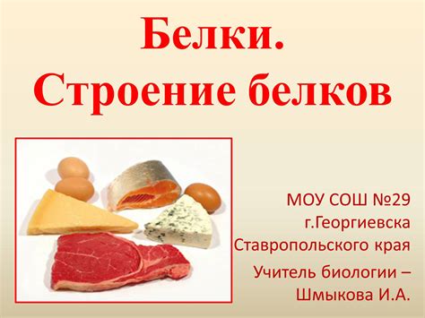 Презентація на тему Белки (варіант 1) — презентації з біології | GDZ4YOU