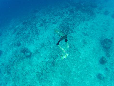 Балийское путешествие. Гили Траванган | FreeDiver.me