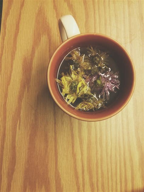 Gallery | juliarose | VSCO