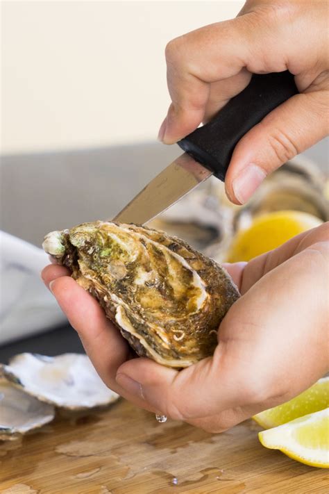 how to shuck raw oysters 4