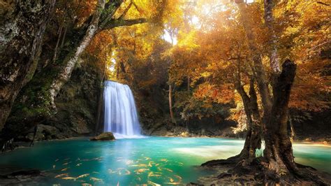 Windows Spotlight Wallpapers - Top Free Windows Spotlight Backgrounds ...