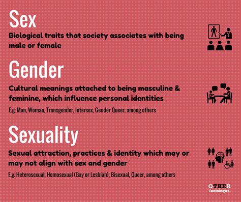 Sociology of Gender – The Other Sociologist