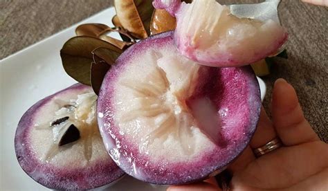fruits     visiting southeast asia