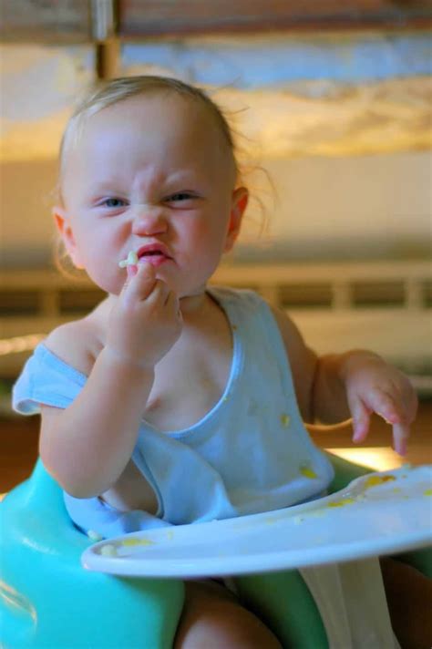 stink face  elliott homestead