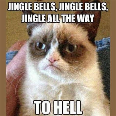 Grumpy Cat Christmas Memes 2024 Download Free - Happy Birthday All