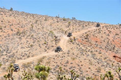 Las Vegas Mojave Desert Adventure - Guided Tour