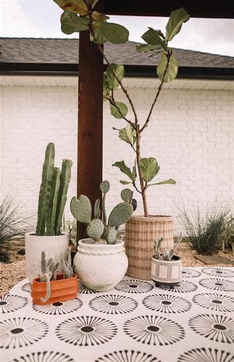 Our backyard the reveal – Artofit