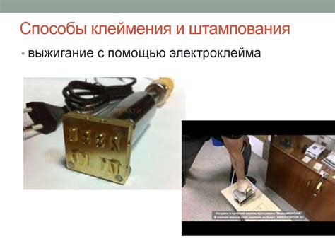 Маркировка. Функции и классификация маркировки - презентация онлайн