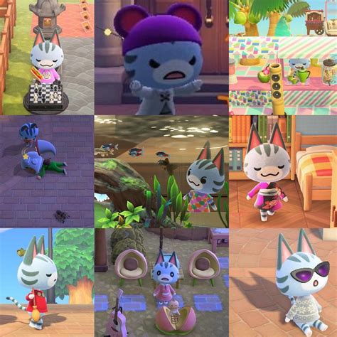 lolly animal crossing 8