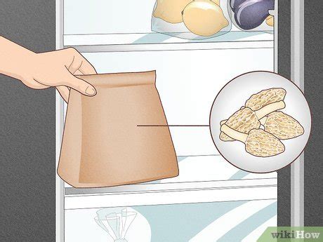 How to Clean Morel Mushrooms: Tips and Tricks